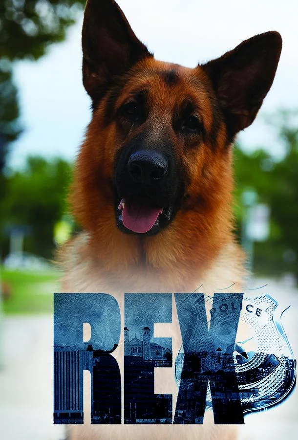 Сериал Хадсон и Рекс 2019 смотреть онлайн бесплатно в хорошем качестве